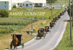 Amish Buggys on Road in Funeral Procession cs7037