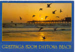 Birds and Pier at Daytona Beach Florida cs7683