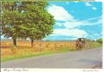 Amish Horse and Buggy in Indiana Postcard cs8253