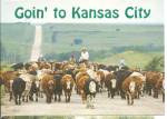 Kansas City Missouri Cattle Drive cs8540