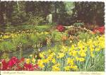Theodore AL Bellingrath Gardens in Spring Daffodils cs9006