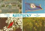 Kentucky State Flag, Bird Flowers and Capitol cs9199