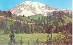 Mt Rainier Washington Postcard n1078