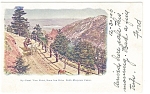 Cheyenne Canon CO Bruin Inn Drive Postcard p10439 1906