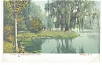 Albany NY Washington Park Lake Postcard p10679