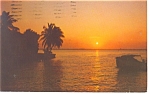 Beautiful Florida Sunset Postcard p11133 1973