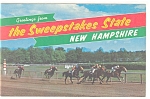 New Hampshire The Sweepstake State Postcard p11150