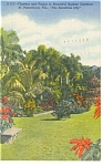 St Petersburg FL Flowers Sunken Gardens Postcard p11428