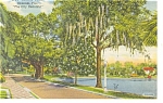 Orlando FL Lucerne Circle Postcard p11536 1958