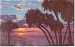 A Southern Night-Scenic Postcard p11947