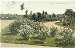 Lancaster PA Long Park Postcard p12095 1909