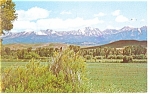 Crazy Mountains of Montana Postcard p12254