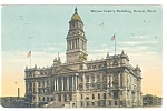Detroit MI  Wayne County Building Postcard p12287 1917