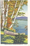 Lake Winnipesaukee NH Lakeside Birches Postcard p12693 1934