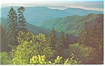 Great Smoky Mountains National Park TN Postcard p12826