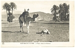 Camel Scene et Types Priere dans le Sahara Postcard p13215