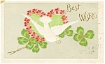 Best Wishes Postcard p13253 Dove Four Leaf Clover