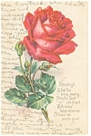 Loving Greetings Postcard p13265  Rose