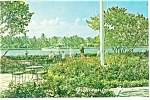 Fort Lauderdale FL  Patricia Murphy s Restaurant Postcard p13495