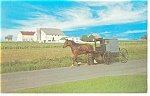 The Amish Family Carriage Postcard p13527