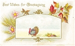 Best Wishes for Thanksgiving Postcard p13593