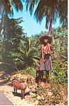 Beads Vendor  Jamaica Postcard p14745