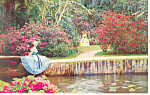 Cypress Gardens FL  Southern Belles Postcard p14912