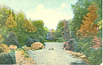 Tree Lined Stream, Scenic Postcard p15259