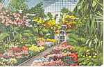 Shaw s Gardens St Louis MO Postcard p15439 1940