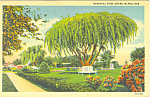 Grand Island  NE  Memorial Park Postcard p15547