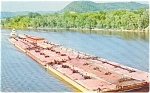 Ohio River Towboat Postcard p1603