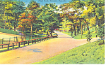 High Park Toronto Ontario Canada Postcard p16310 1951