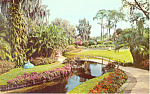 Cypress Gardens  FL Walkways Belles Postcard p16390