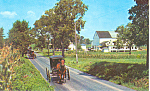 Amish Buggy, Ephrata PA Postcard p17696