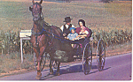 Amish Wagon, PA Dutch Country Postcard p17697