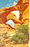 Double Arches Arches National Monument UT Postcard p18123 1955