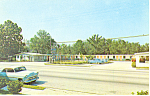 Martinez Motel Callahan  FL Postcard p18497 Cars 50s