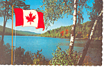 Lake Scene Winnipeg Manitoba Canada Postcard p18724