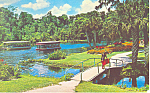 Gardens at Silver Springs Florida Postcard p18766