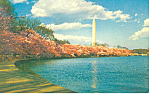 Washington Monument Washington DC Postcard p19061