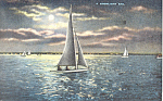 A Moonlight Sail Postcard p19345