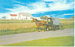 Amish Buggy Passing an Amish Farm Postcard p19819