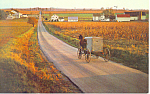 Amish Family Buggy Postcard p19987