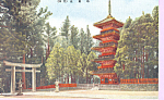 Japanese Pagoda p21476