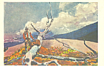 Woodsman and Fallen Tree Winslow Homer Postcard p22032
