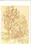 Grove of Cypresses Vincent Van Gogh Postcard p22192