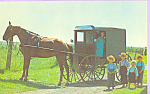 Amish Children Waiting at Horse and Buggy p22688