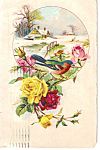 Bird on Flowers with a Snow Scene Postcard p23824