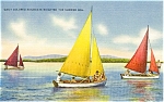 Gaily Colored Sailboats Postcard p2408