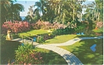 Cypress Gardens FL Tropical Flowers Postcard p2635